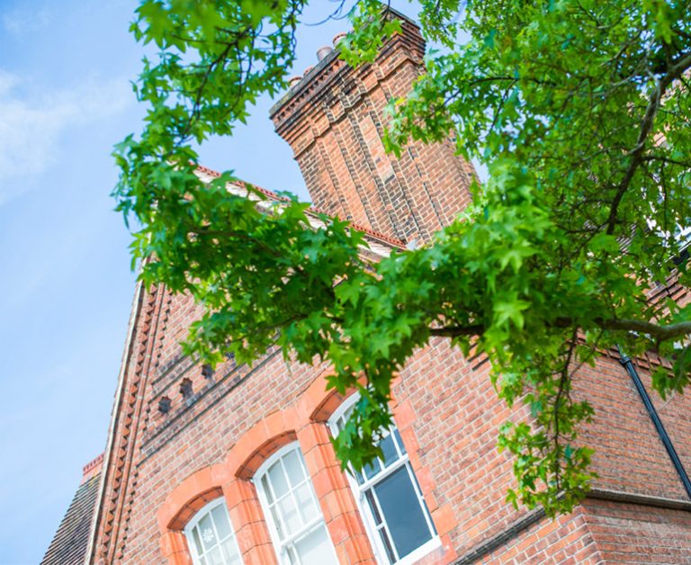 Closeup of The MERL building through branches