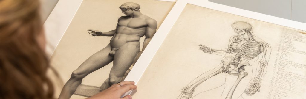 Two drawings by Minnie Jane Hardman; one of the complete sculpture, while the second has been anatomised to the skeleton.