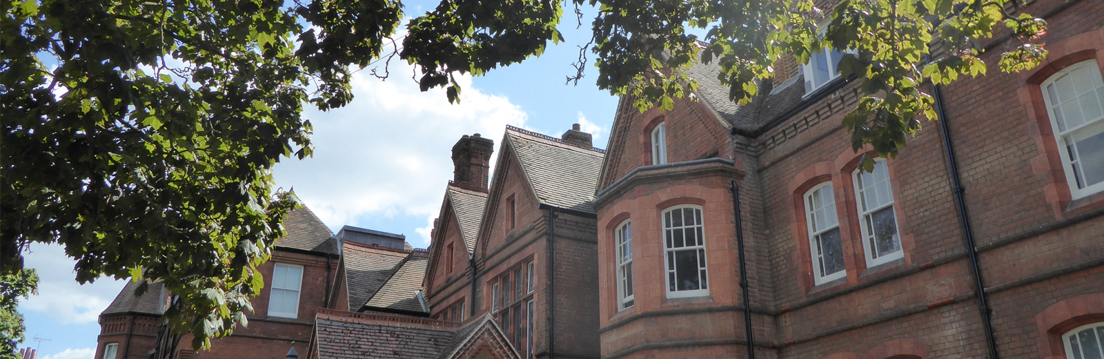 A view of The MERL building through the trees