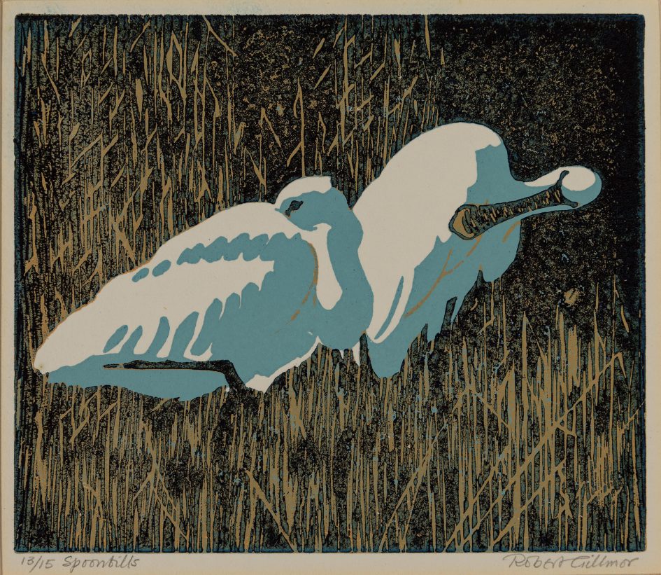 Robert Gillmor (b. 1936), Spoonbills, 1992, colour linocut on paper, [UAC/10163]