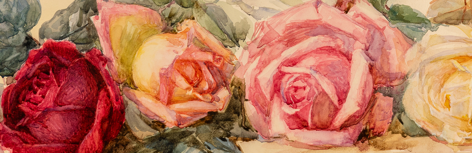 Closeup of a watercolour painting of roses in shades of pink and red, by Minnie Jane Hardman.