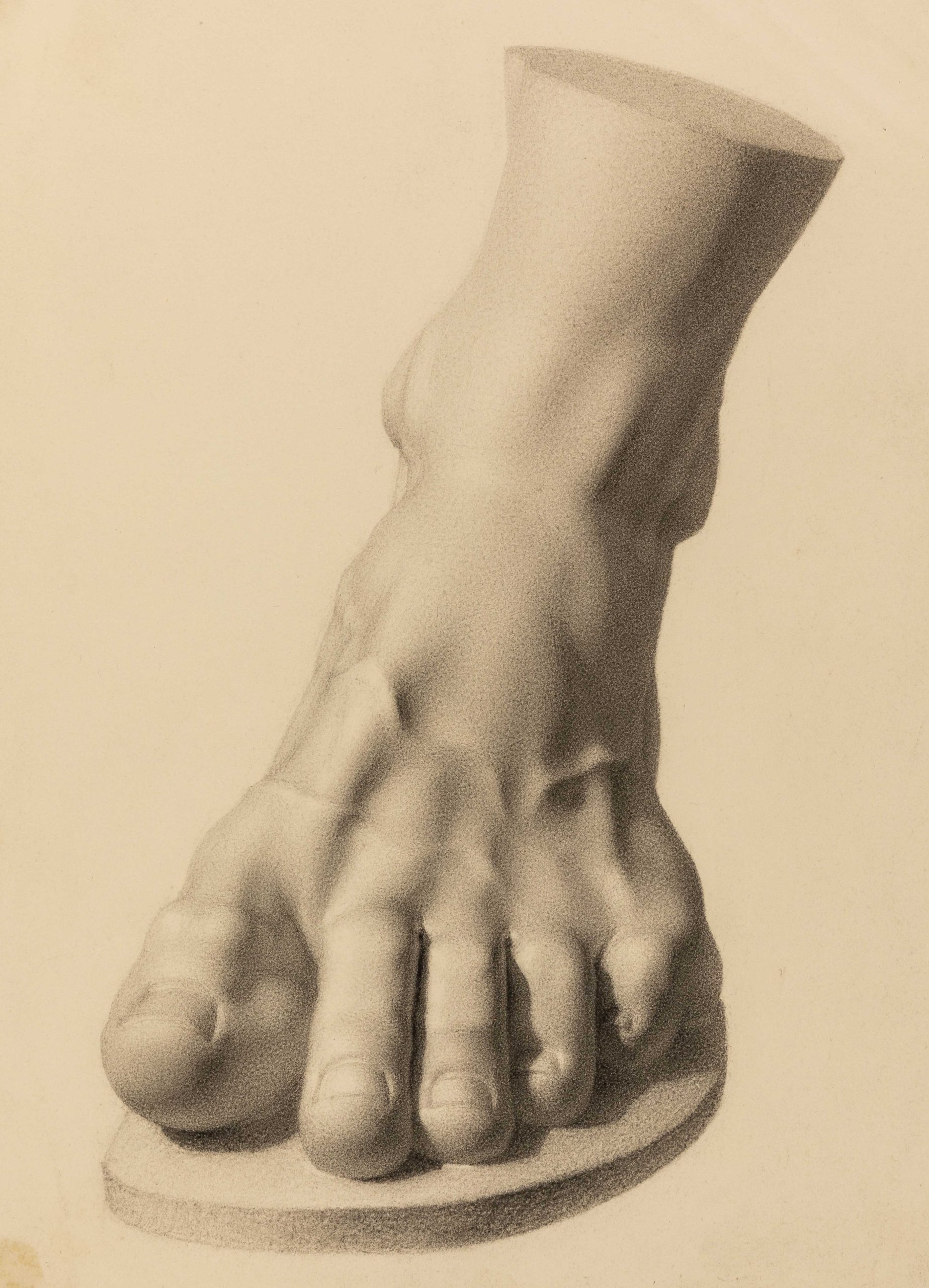 Study of a plaster cast of a foot