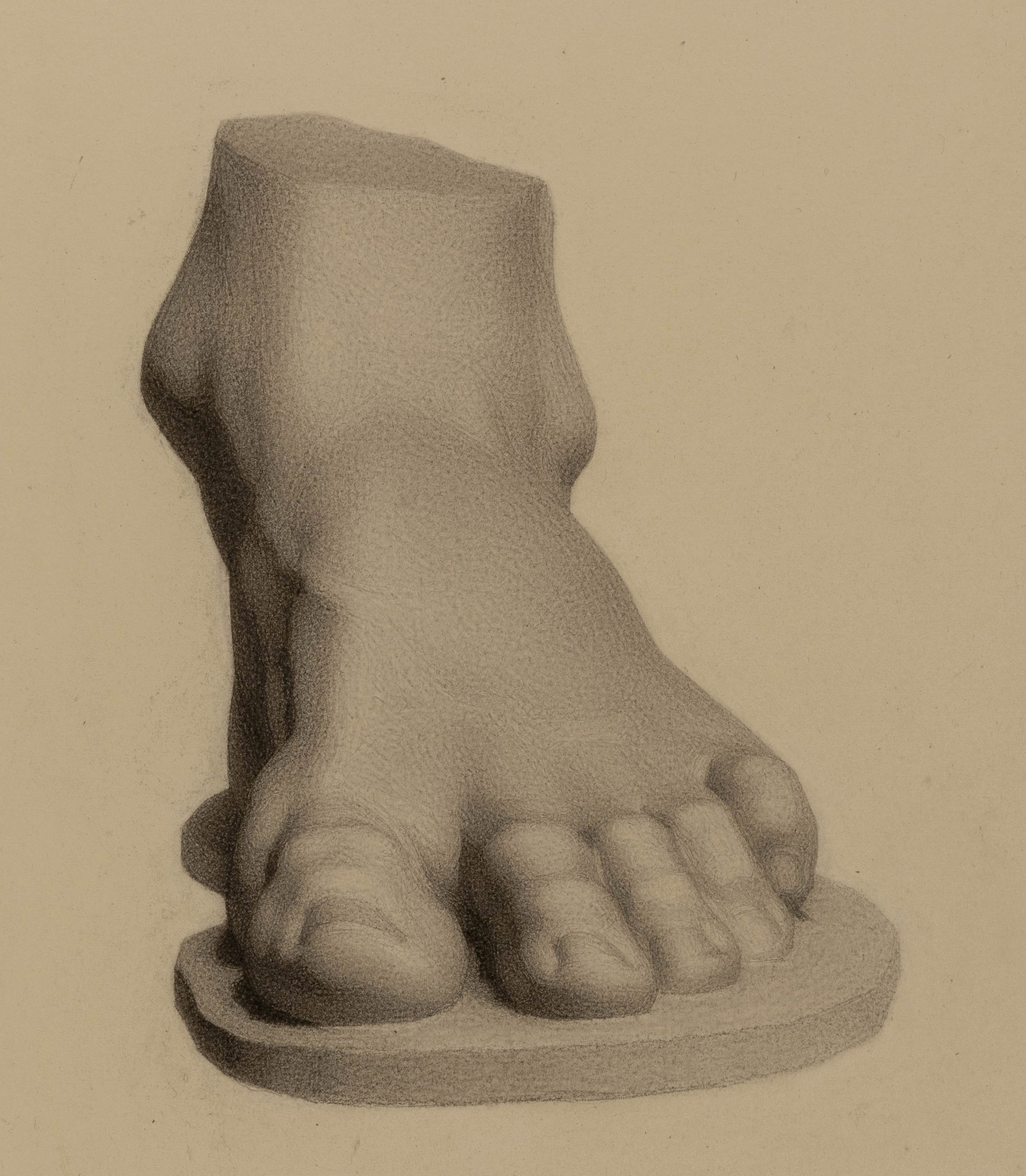 Study of a plaster cast of a foot