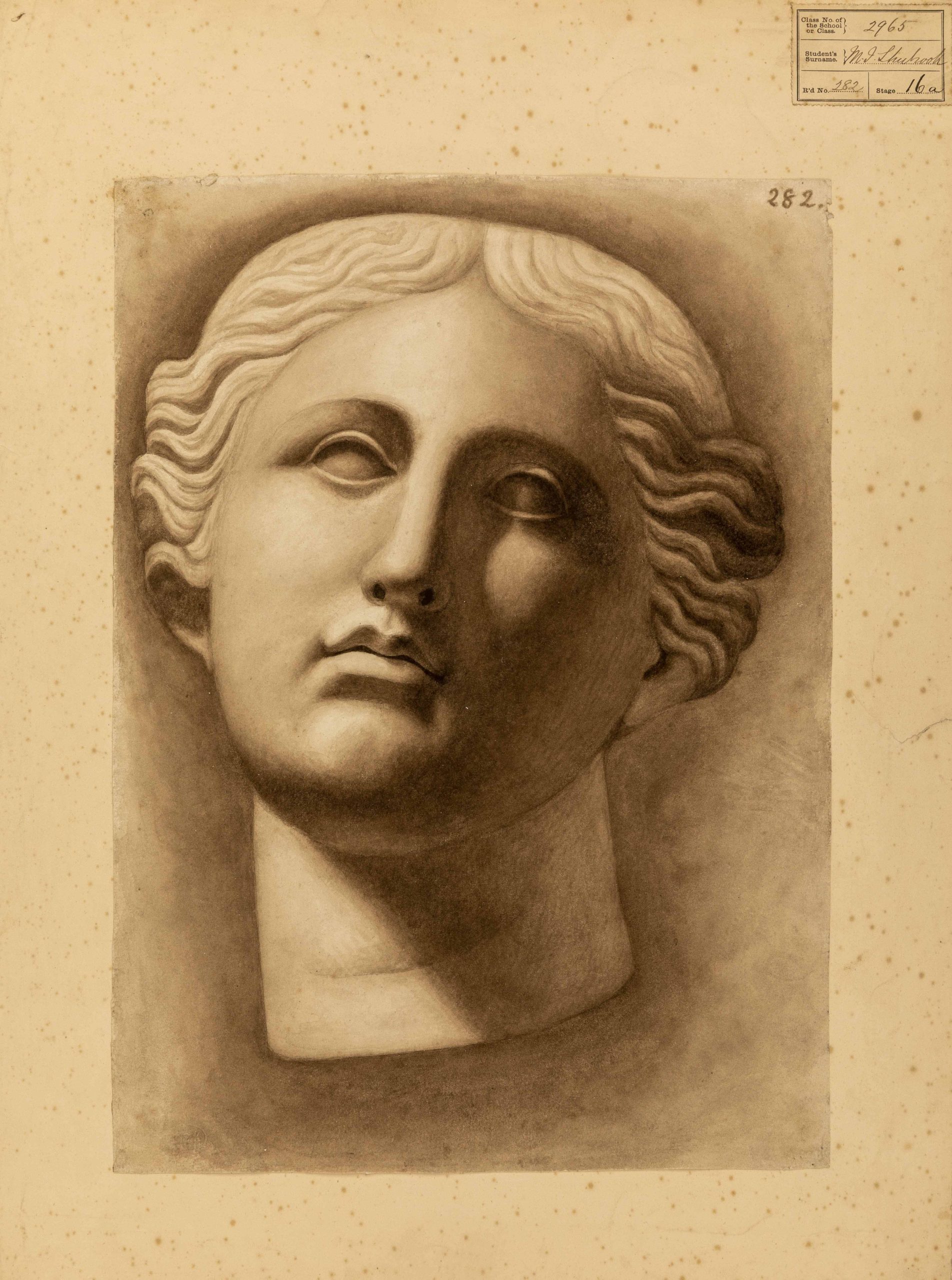 Study of the head of a classical goddess, probably Hera