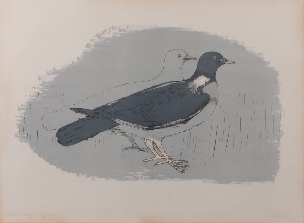 Print of two pigeons, one in full colour and the second as an outline behind the first.