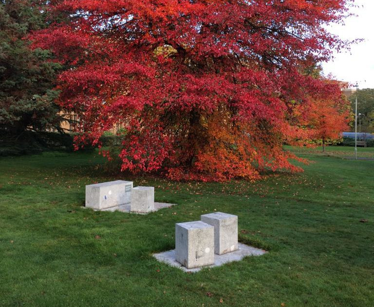 Floating Garden sculpture in front of an autumnal tree