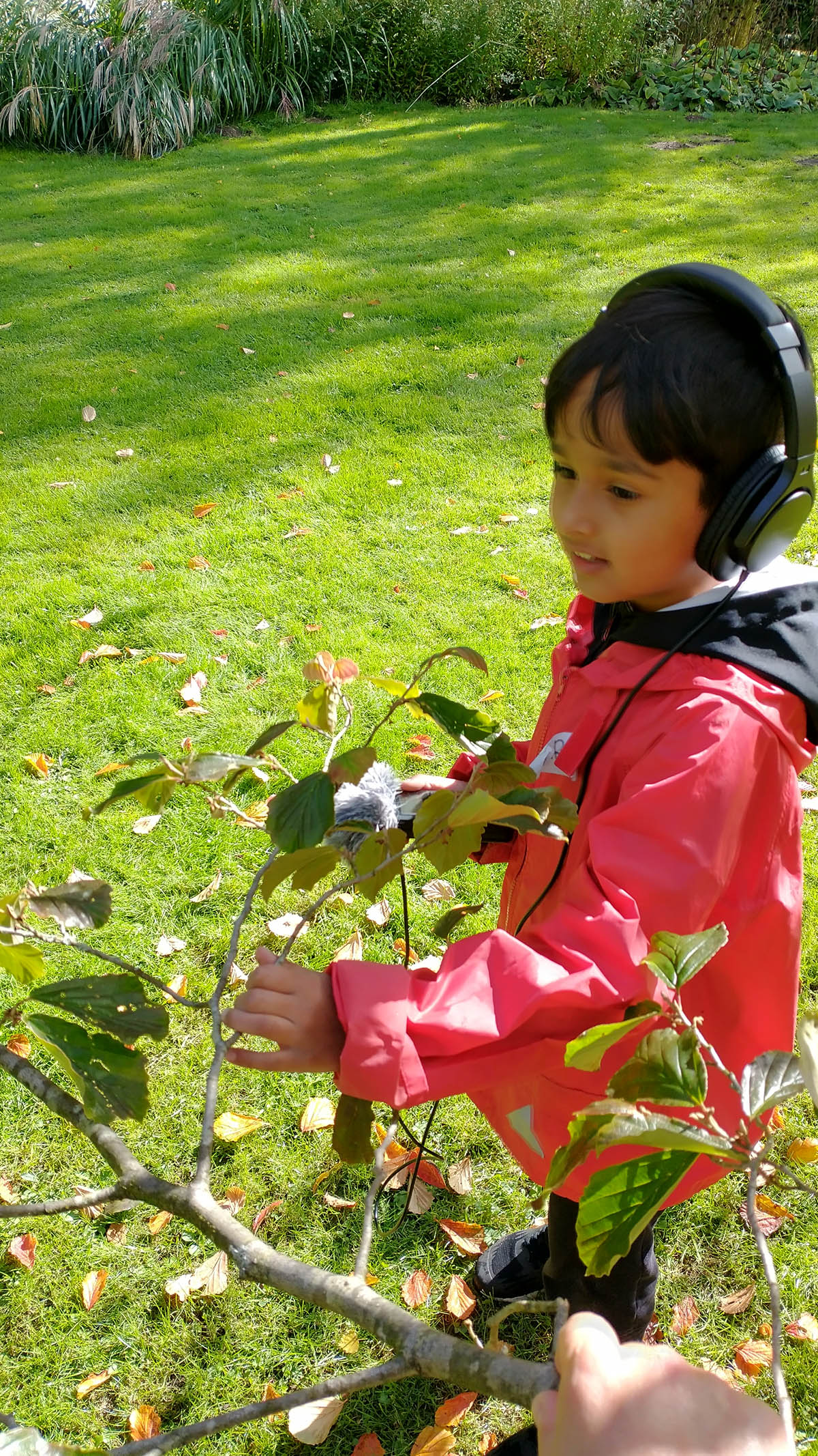 Boy, wearing a red coat and headphones, looking at a branch which is being held at the bottom right corner of the photo