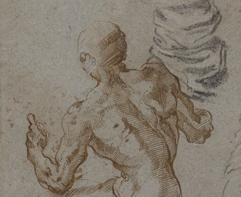 Sheet of Studies with Seated Male Nude and Two Arms