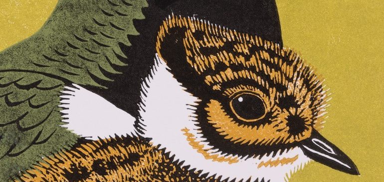Head of a baby peewit facing right with the neck of the adult behind. The baby is printed in shades of orange, white and black. The neck of the adult is black, white and green. The background of the artwork is a lighter shade of green.
