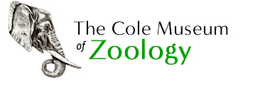 Cole Museum of Zoology