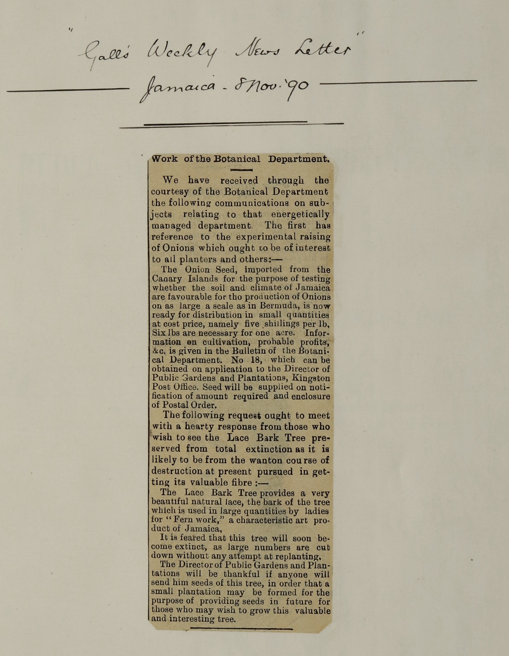 16. News cutting from Gall’s Weekly Newsletter, 8 Nov 1890