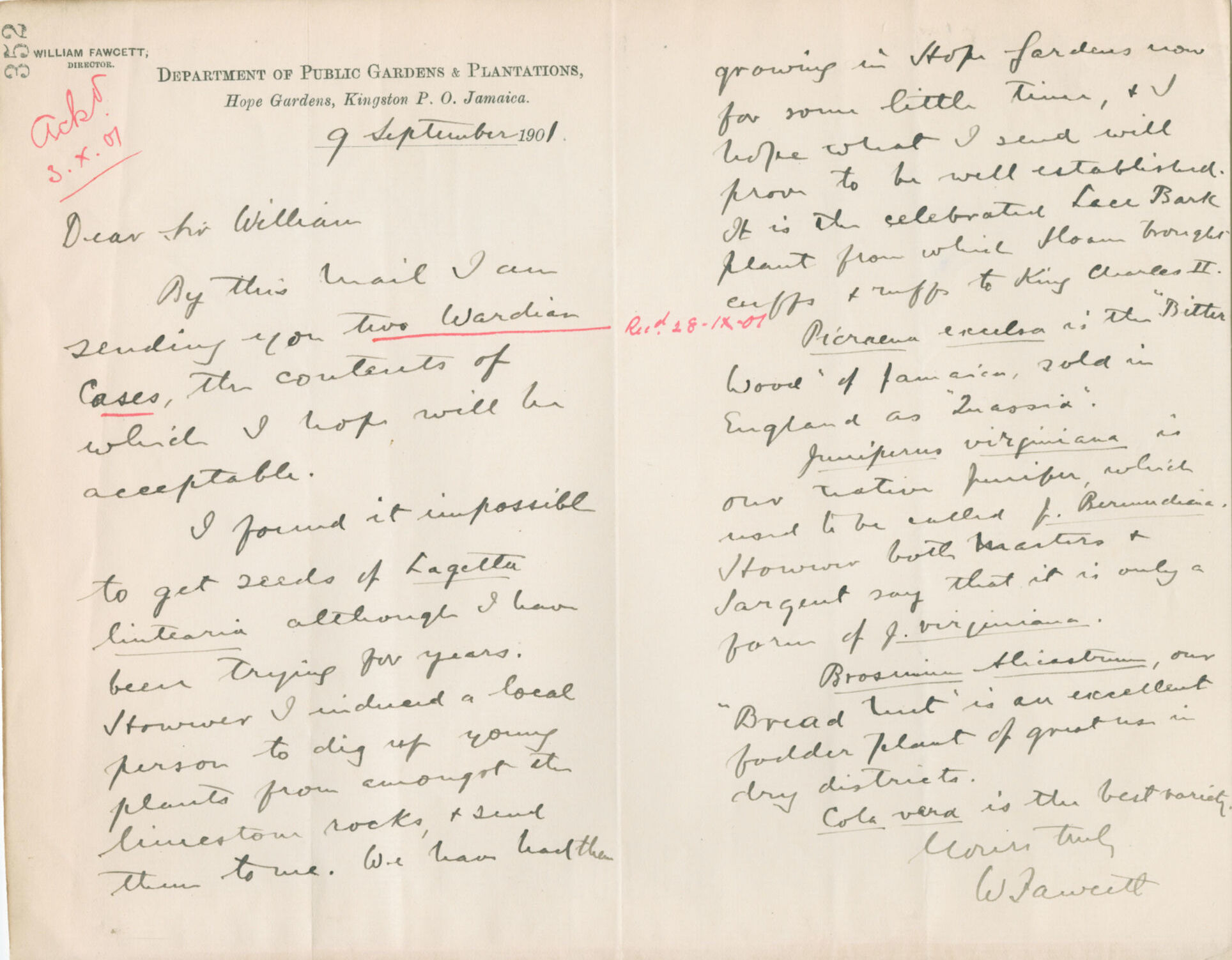 17. Letter from William Fawcett to William Thiselton-Dyer, 9 Sept 1901