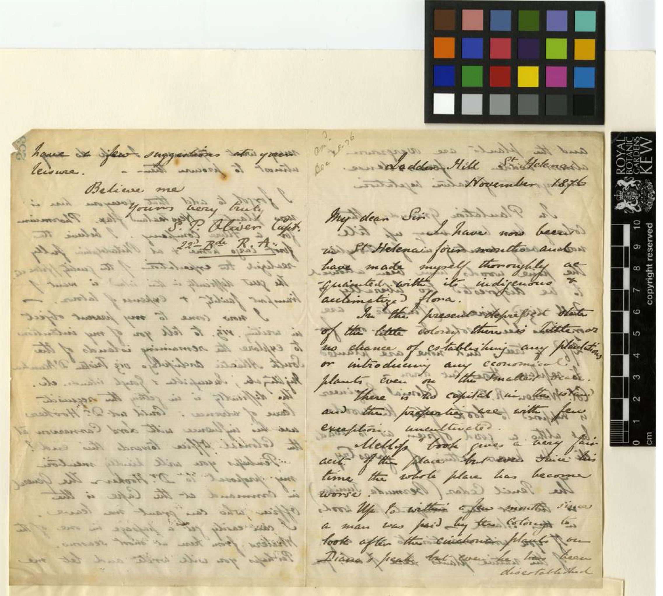 22. Letter from naturalist Captain S.P. Oliver to William Thiselton-Dyer, Nov. 1876