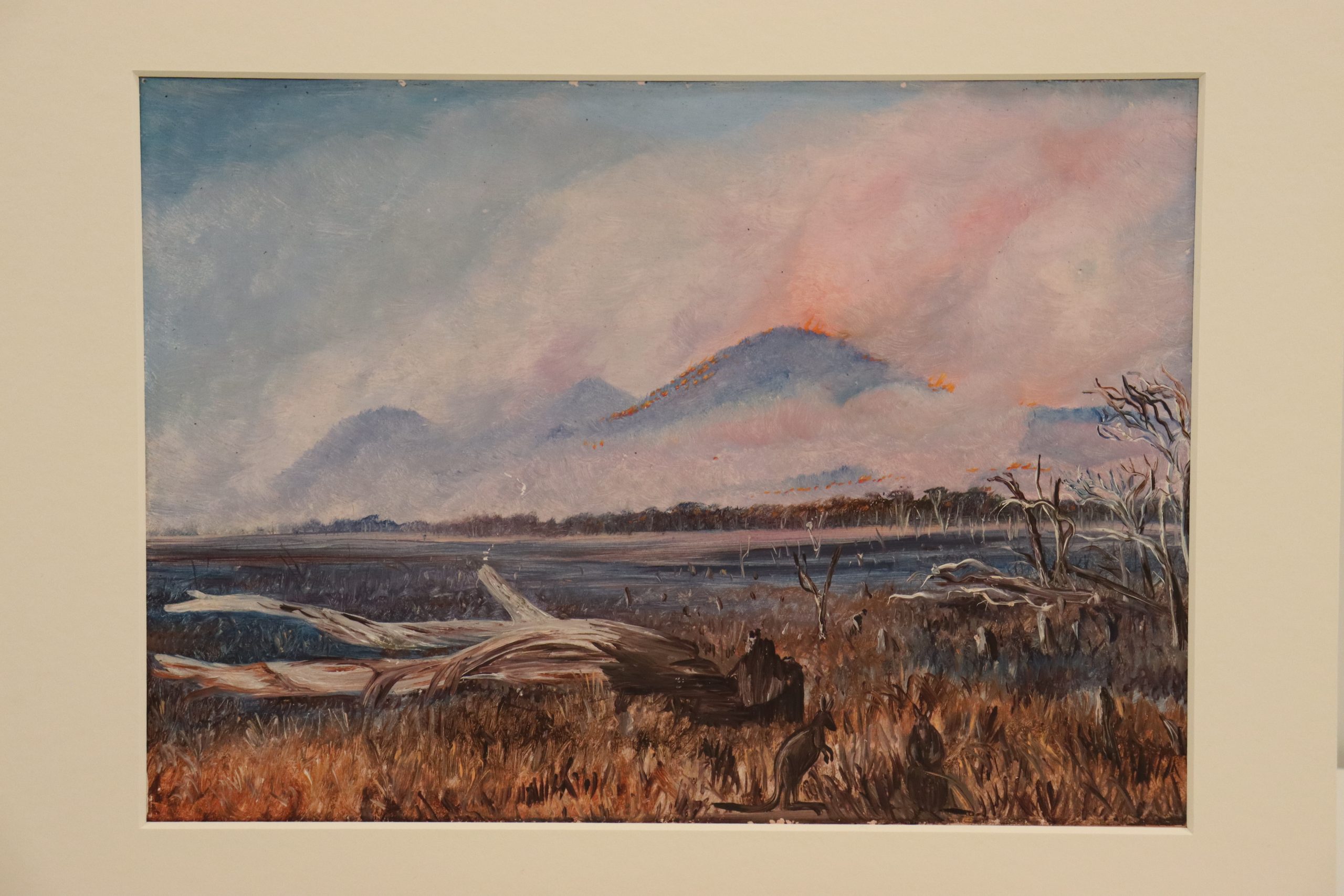 3. A Bush Fire at Sunset