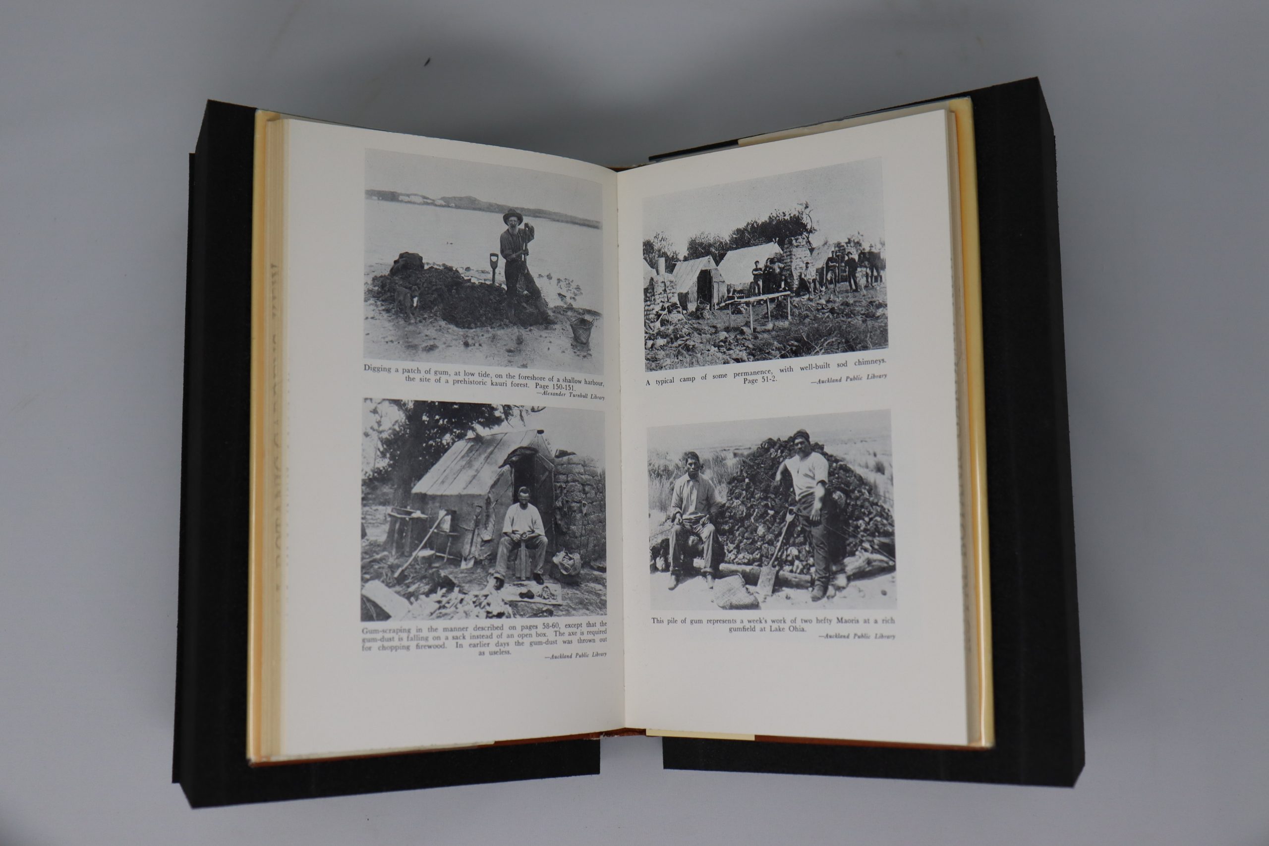 30. The Gumdiggers : the story of kauri gum