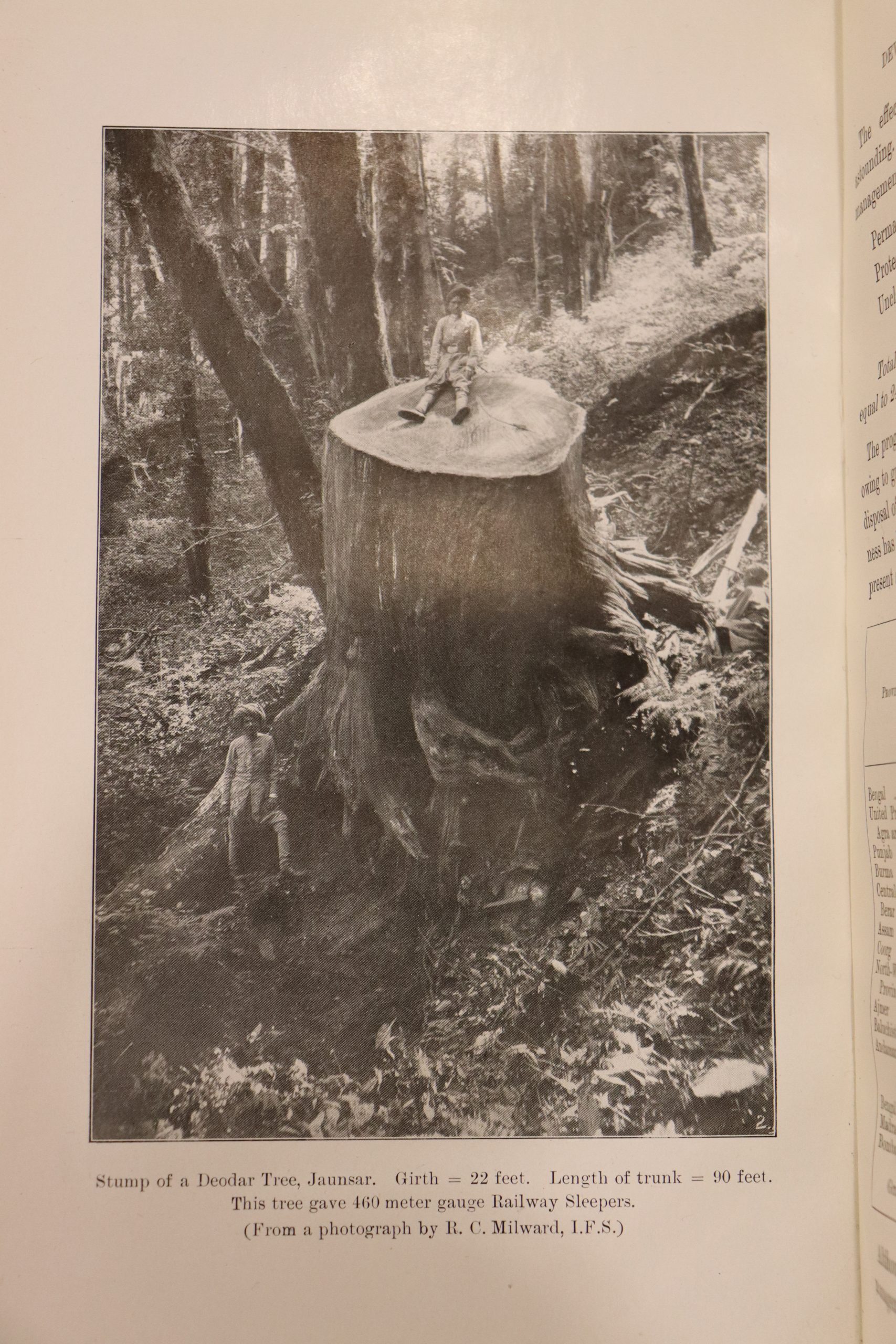 8. Schlich’s Manual of Forestry