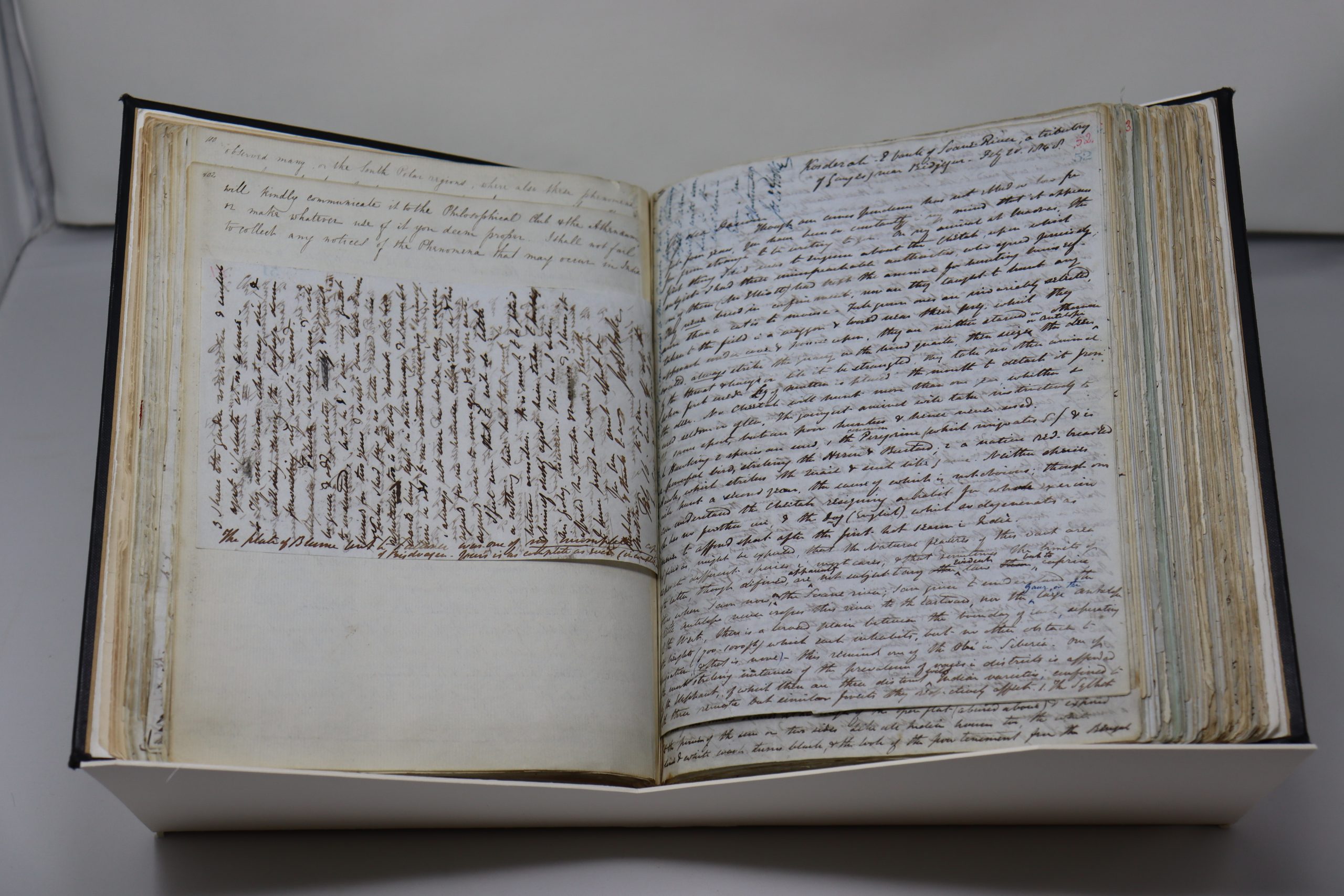 9. Letter from Joseph Hooker to Charles Darwin, 2 February 1848