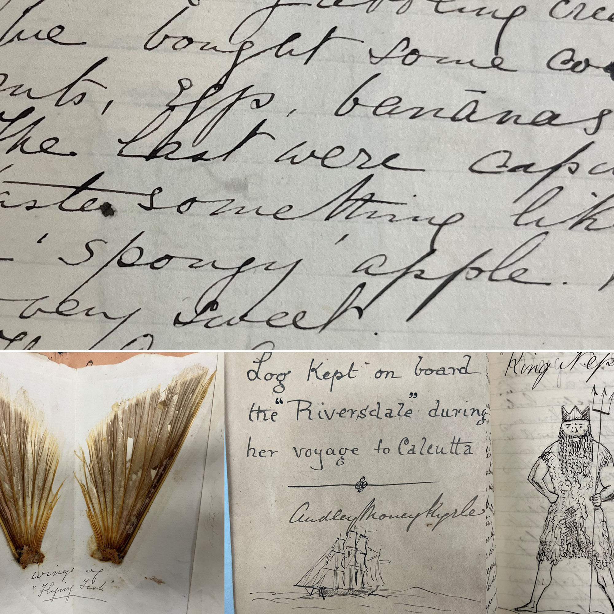 Journal by Audley Money-Kyrle - Wiltshire & Swindon History Centre