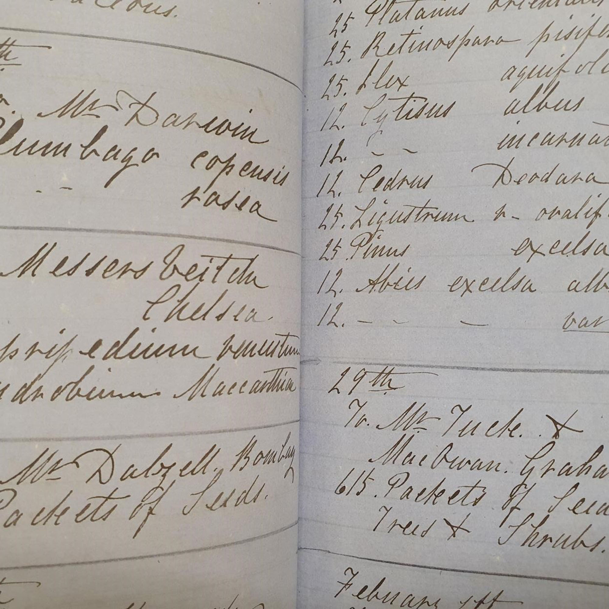 Goods Outwards 1860-1869 - Royal Botanic Gardens Kew