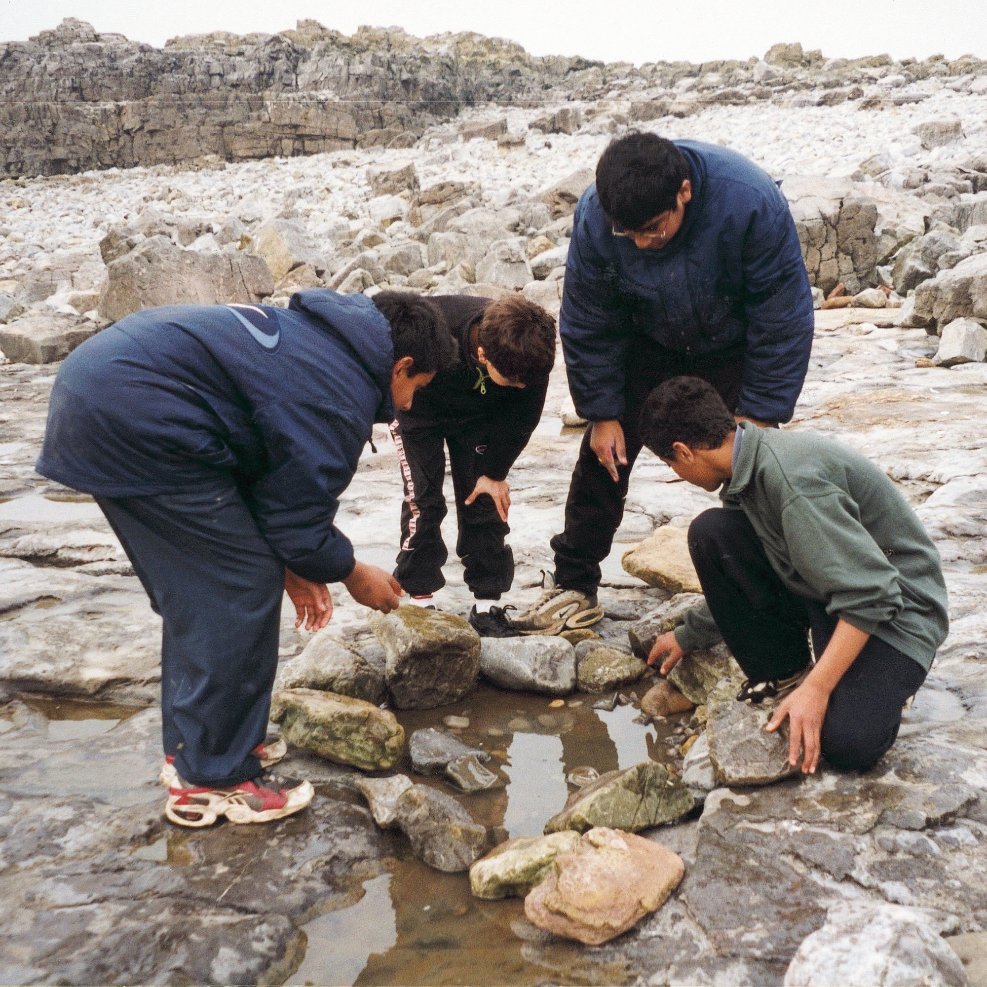 Exploring Rock Pools - Black Environment Network