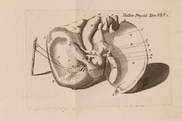 New discoveries: Haller's Elementa (1768-75)