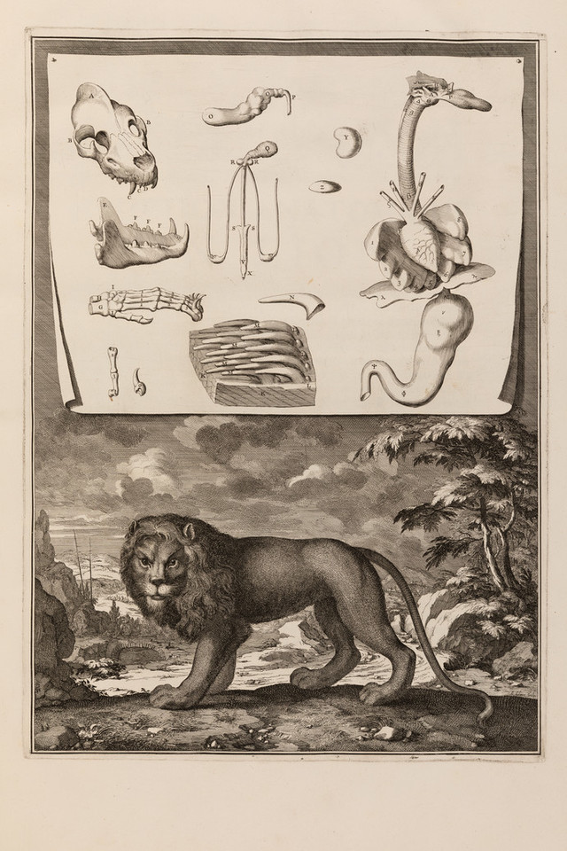 New discoveries: Perrault's Memoires (1671-76)