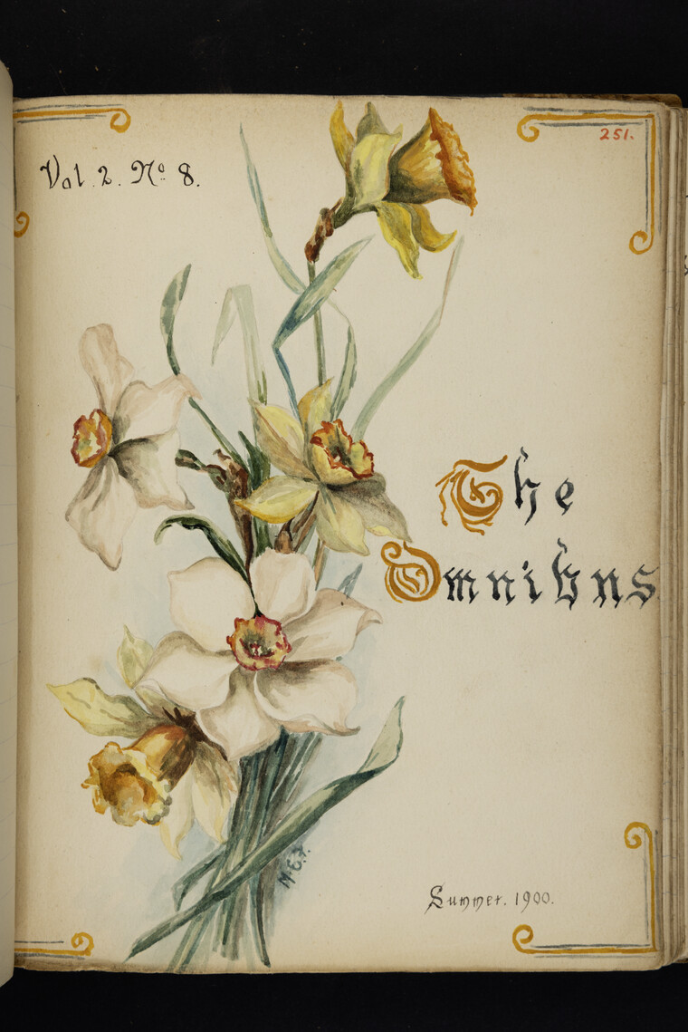 The Omnibus