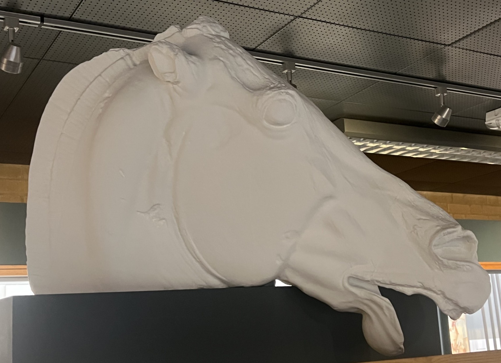 Plaster cast of Selene