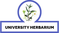 University Herbarium